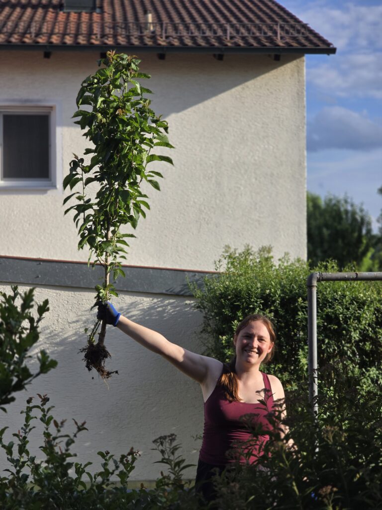 Kärcher, Kirschbäume und Kartoffeln